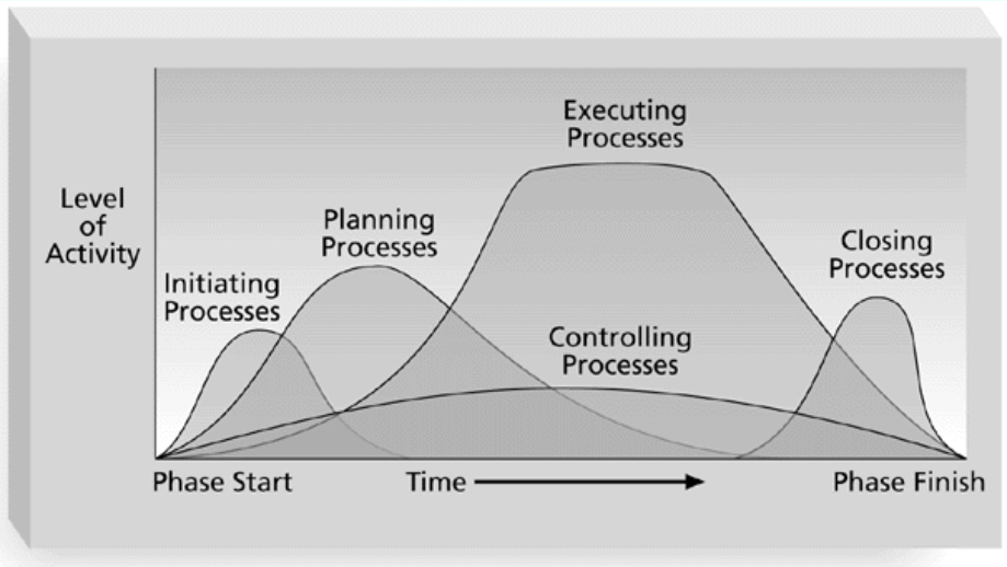 Activity level by process type for each project stage